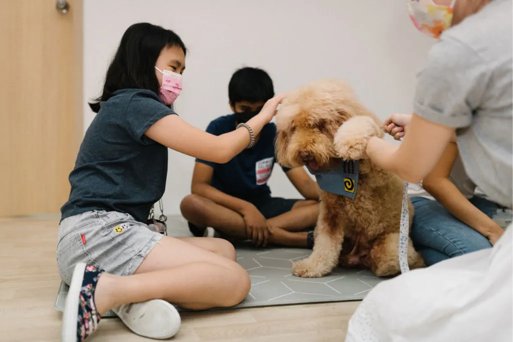 Animal-Assisted-Therapy